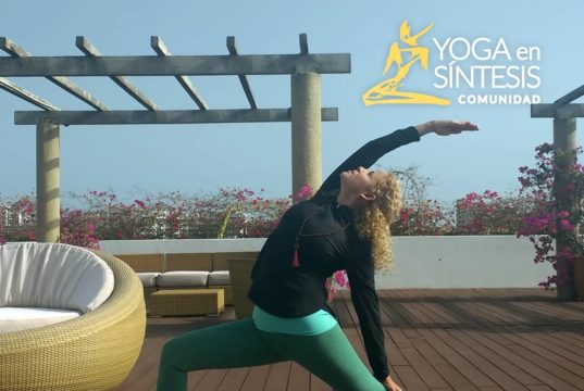 Yoga en Sintesis