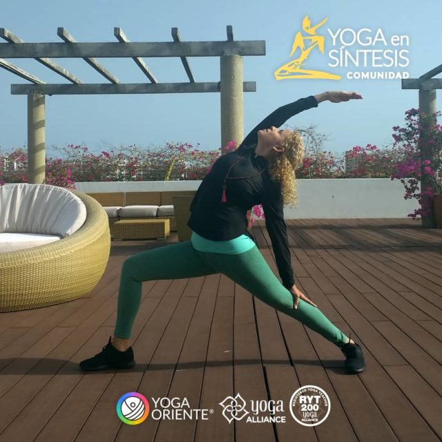 Yoga en Sintesis