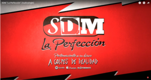 SDM