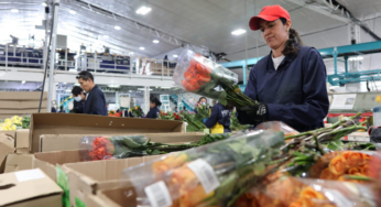 Eficiencia, transparencia e incremento en las ventas