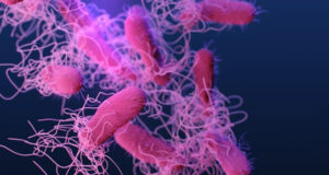 Eduardo Travieso Itriago