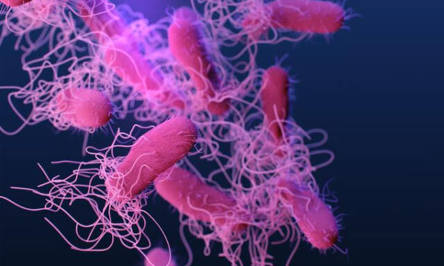 Eduardo Travieso Itriago