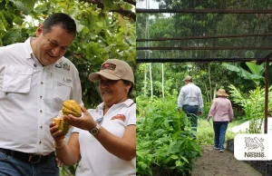 Nestlé Venezuela 2026: Liderando la transición hacia la agricultura regenerativa